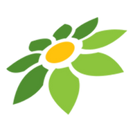 TOKOPEDIA PAJAK MOTOR